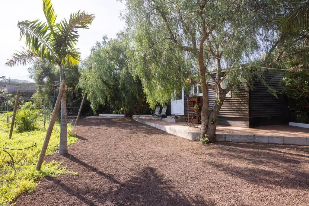 Casita Entre Vinedos, Experiencia Rural, Ideal Ninos. Tegueste Exterior photo